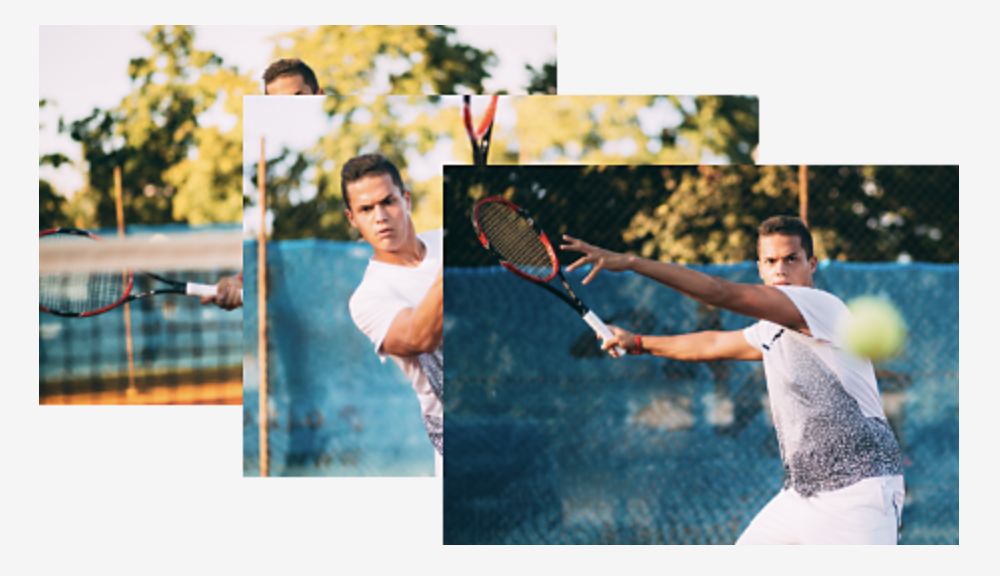 screenshot of Adobe Bridge